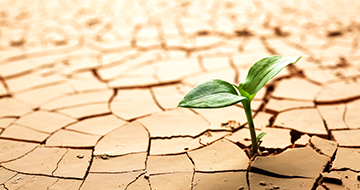 Riscaldamento globale: allarme ENEA