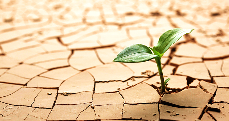 Riscaldamento globale: allarme ENEA 1